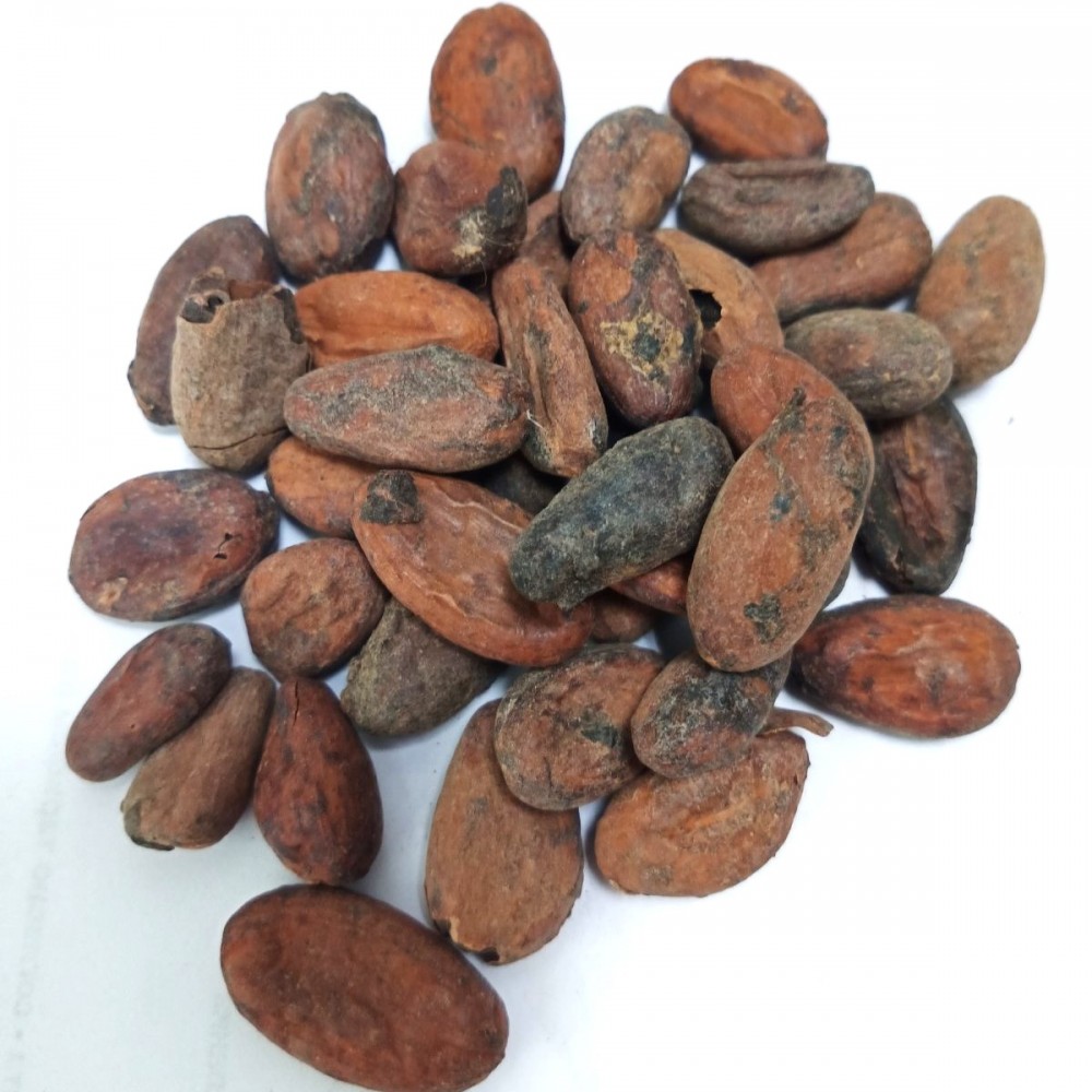 Какао бобы Ghana Premium TM (сырые)