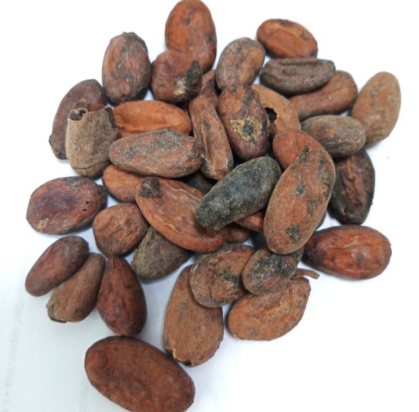 Какао бобы Ghana Premium TM (сырые)